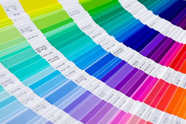 Color swatch samples displaying a wide range of commercial paint color options