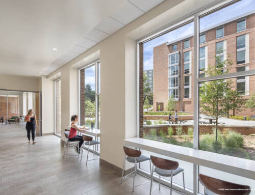Interior Painting for Educational Institutions: Balancing Durability and Design